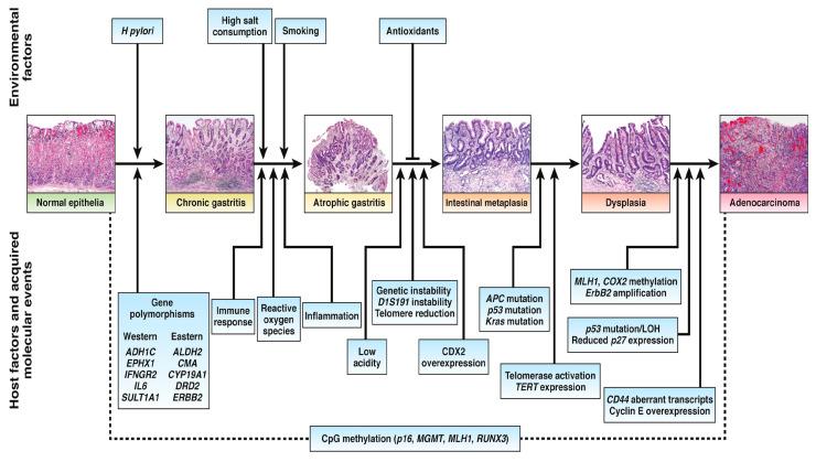 https://cdn.ncbi.nlm.nih.gov/pmc/blobs/277f/11476023/0e16b1e9db2b/cancers-16-03323-g001.jpg