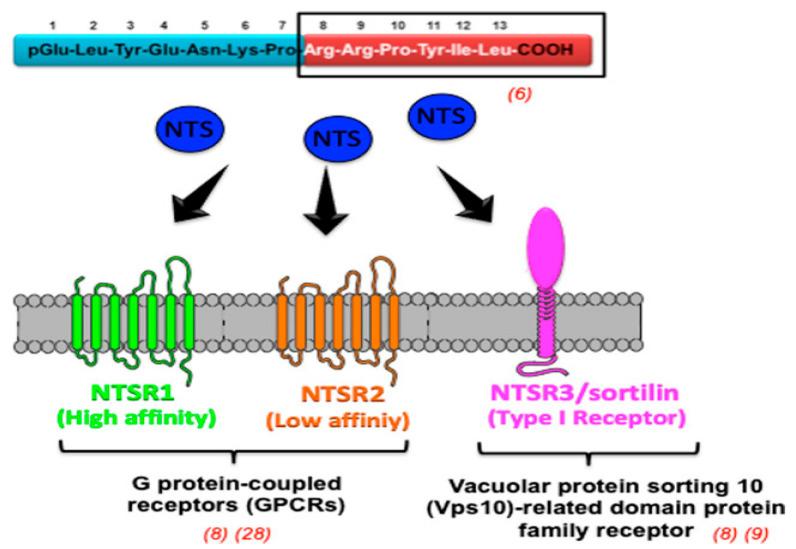 https://cdn.ncbi.nlm.nih.gov/pmc/blobs/277f/11476023/60b43534ec75/cancers-16-03323-g005.jpg