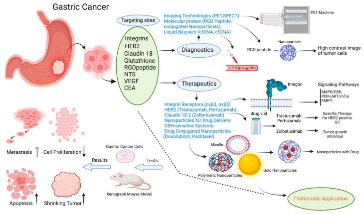https://cdn.ncbi.nlm.nih.gov/pmc/blobs/277f/11476023/9d1d2cfb8255/cancers-16-03323-g002.jpg