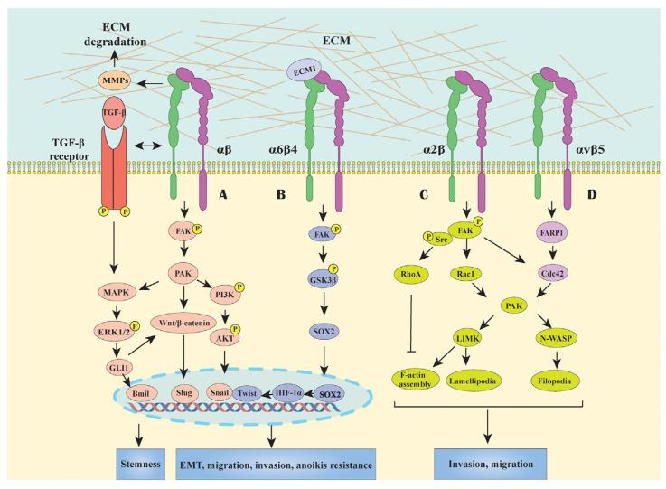 https://cdn.ncbi.nlm.nih.gov/pmc/blobs/277f/11476023/f7e7c849502d/cancers-16-03323-g003.jpg