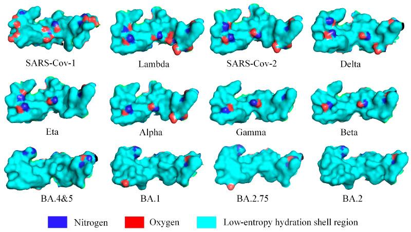 https://cdn.ncbi.nlm.nih.gov/pmc/blobs/2782/10669249/b036352f1b9b/biomolecules-13-01628-g006.jpg