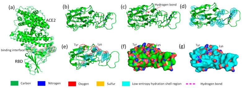 https://cdn.ncbi.nlm.nih.gov/pmc/blobs/2782/10669249/be4f303a99a8/biomolecules-13-01628-g003.jpg