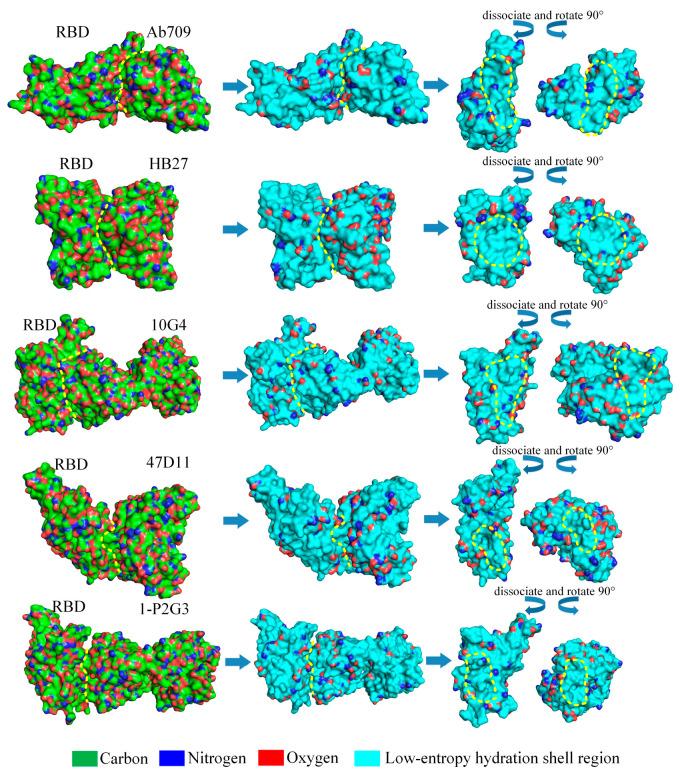 https://cdn.ncbi.nlm.nih.gov/pmc/blobs/2782/10669249/eaf20118c842/biomolecules-13-01628-g011.jpg