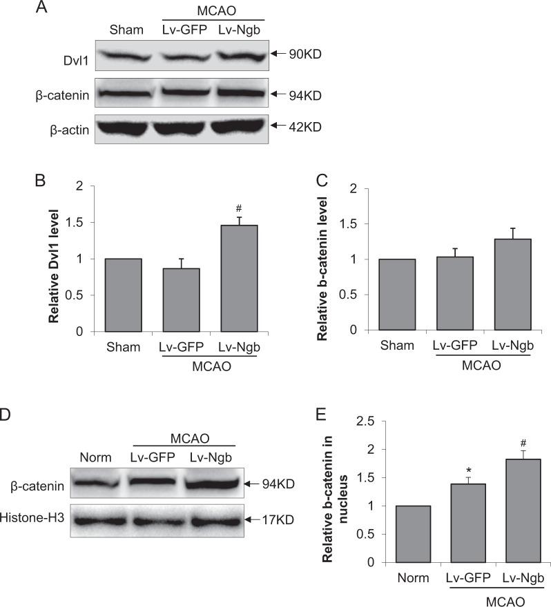 https://cdn.ncbi.nlm.nih.gov/pmc/blobs/2783/6147998/8b1719f8592e/41419_2018_1007_Fig6_HTML.jpg