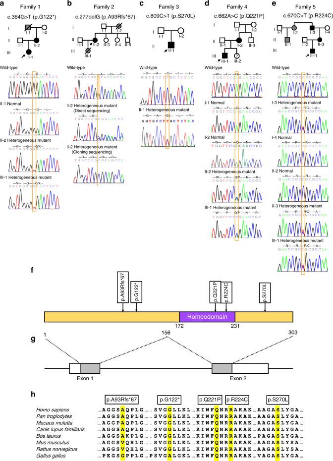https://cdn.ncbi.nlm.nih.gov/pmc/blobs/2783/7794556/5b0a1cab6e33/41368_2020_106_Fig2_HTML.jpg