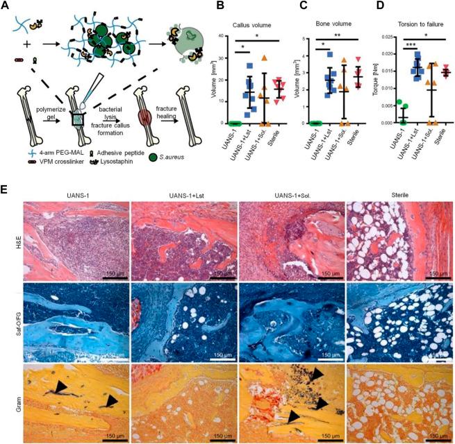 https://cdn.ncbi.nlm.nih.gov/pmc/blobs/2785/9923112/26b3fb68addb/fbioe-11-1117647-g007.jpg
