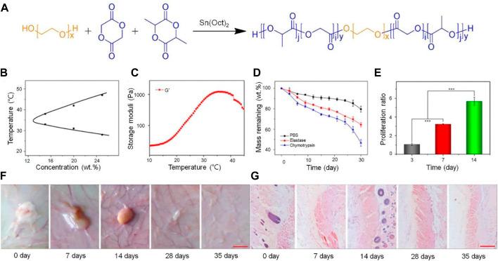 https://cdn.ncbi.nlm.nih.gov/pmc/blobs/2785/9923112/40d4a836d530/fbioe-11-1117647-g001.jpg