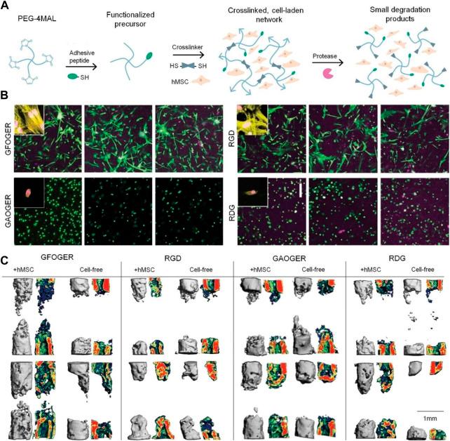 https://cdn.ncbi.nlm.nih.gov/pmc/blobs/2785/9923112/cc7c58578593/fbioe-11-1117647-g003.jpg