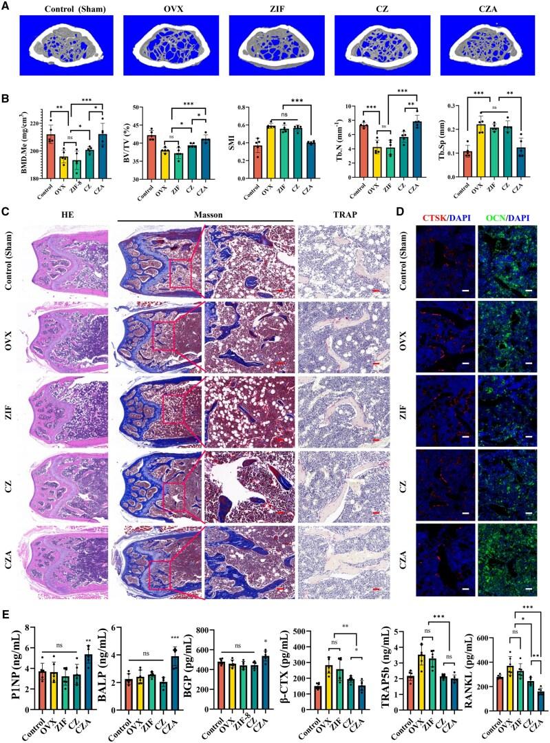 https://cdn.ncbi.nlm.nih.gov/pmc/blobs/2786/12122077/6e31ae08f8e3/rbaf028f6.jpg