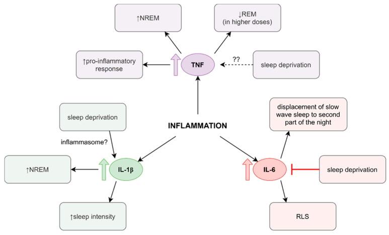 https://cdn.ncbi.nlm.nih.gov/pmc/blobs/2786/8745687/7de07d1e3c1a/jcm-11-00067-g001.jpg