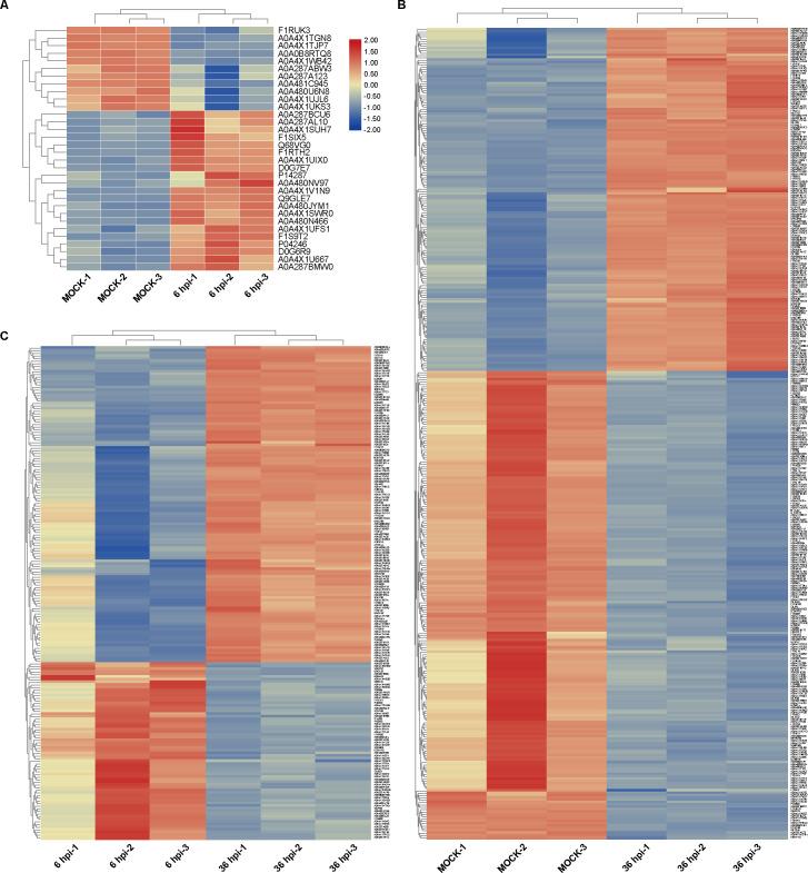 https://cdn.ncbi.nlm.nih.gov/pmc/blobs/2787/11237544/b8ebf4f1d19a/spectrum.03914-23.f004.jpg