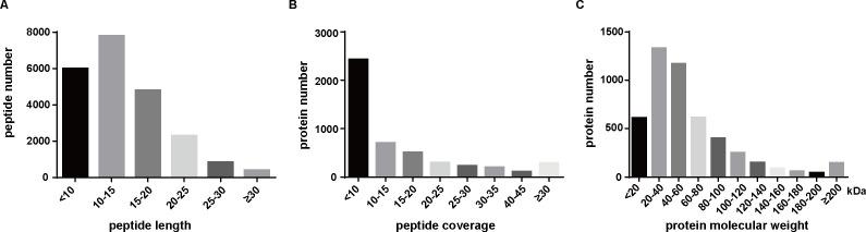 https://cdn.ncbi.nlm.nih.gov/pmc/blobs/2787/11237544/d9947b58cc22/spectrum.03914-23.f002.jpg