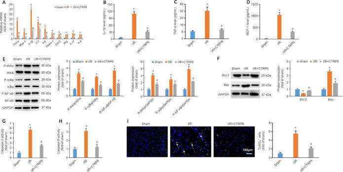 https://cdn.ncbi.nlm.nih.gov/pmc/blobs/2788/11040306/7e6aa5820820/NRR-19-2019-g006.jpg