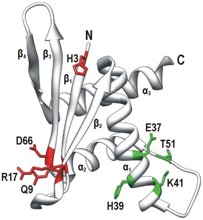 https://cdn.ncbi.nlm.nih.gov/pmc/blobs/2788/3755989/8365cead3219/pone.0074885.g005.jpg