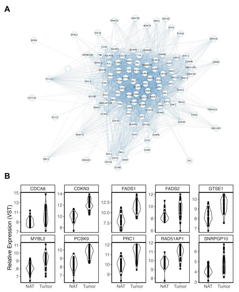 https://cdn.ncbi.nlm.nih.gov/pmc/blobs/278a/10377524/fc5dc83f07fa/cancers-15-03550-g004.jpg
