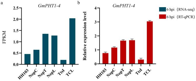 https://cdn.ncbi.nlm.nih.gov/pmc/blobs/278a/10671193/b3b6574dac8b/ijms-24-16521-g010.jpg