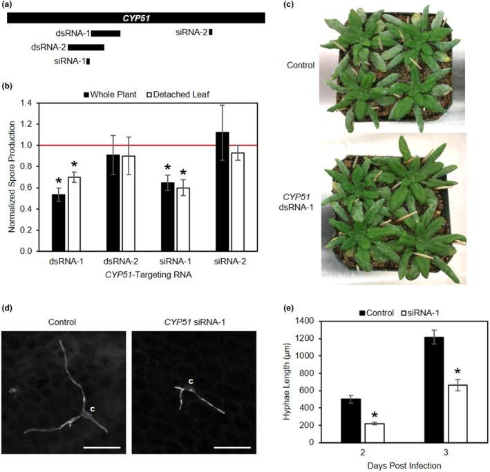 https://cdn.ncbi.nlm.nih.gov/pmc/blobs/278b/10423327/396f067826e5/MPP-24-1168-g001.jpg
