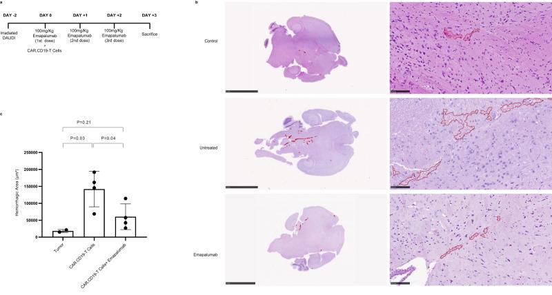 https://cdn.ncbi.nlm.nih.gov/pmc/blobs/278c/10256701/eb3be3aaac9a/41467_2023_38723_Fig7_HTML.jpg