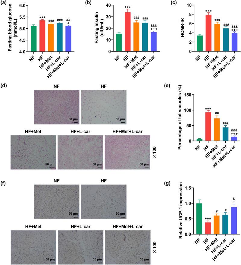 https://cdn.ncbi.nlm.nih.gov/pmc/blobs/2792/10921440/64966974bea0/j_med-2024-0900-fig001.jpg