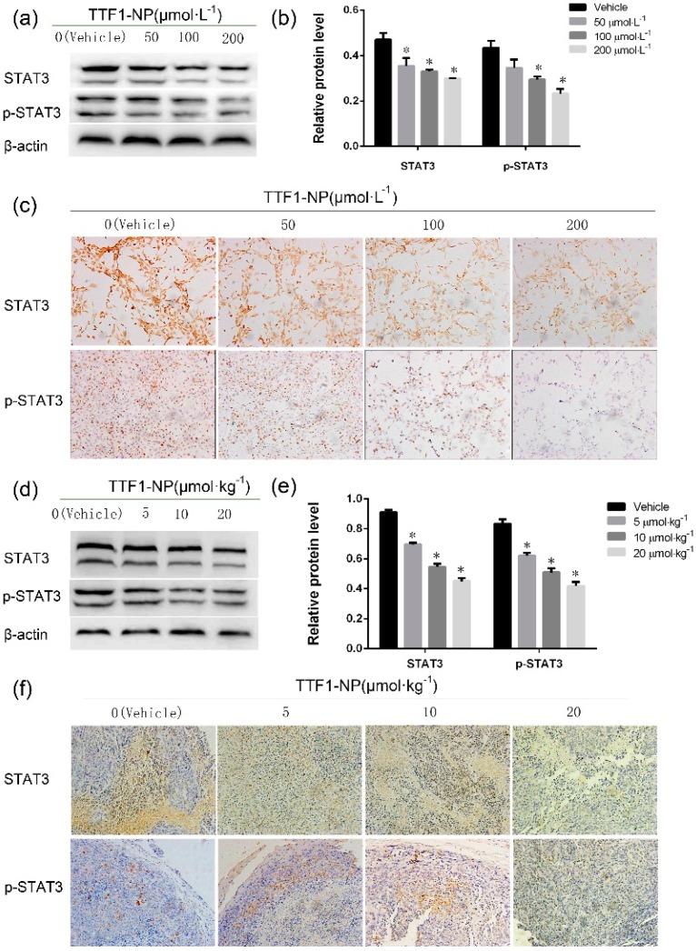 https://cdn.ncbi.nlm.nih.gov/pmc/blobs/2792/6274537/1030398df141/molecules-21-01507-g004.jpg