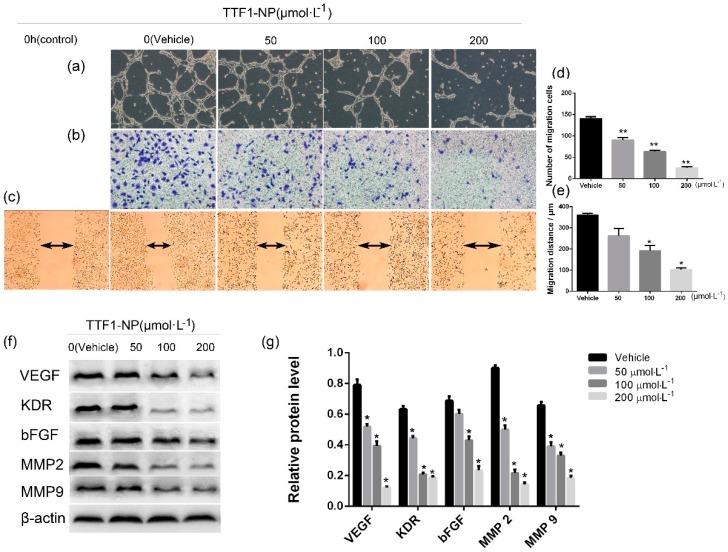 https://cdn.ncbi.nlm.nih.gov/pmc/blobs/2792/6274537/bfb72bf9121b/molecules-21-01507-g002.jpg