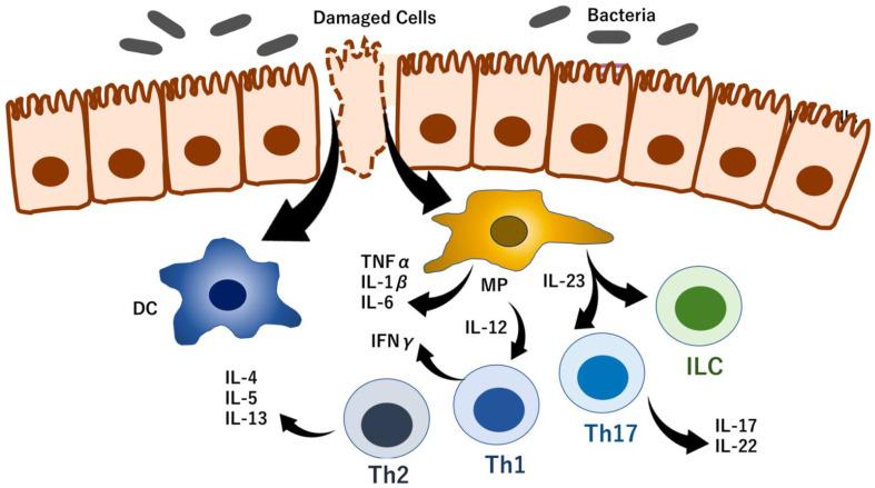 https://cdn.ncbi.nlm.nih.gov/pmc/blobs/2792/9313455/7cb6b254cf59/biomedicines-10-01695-g001.jpg