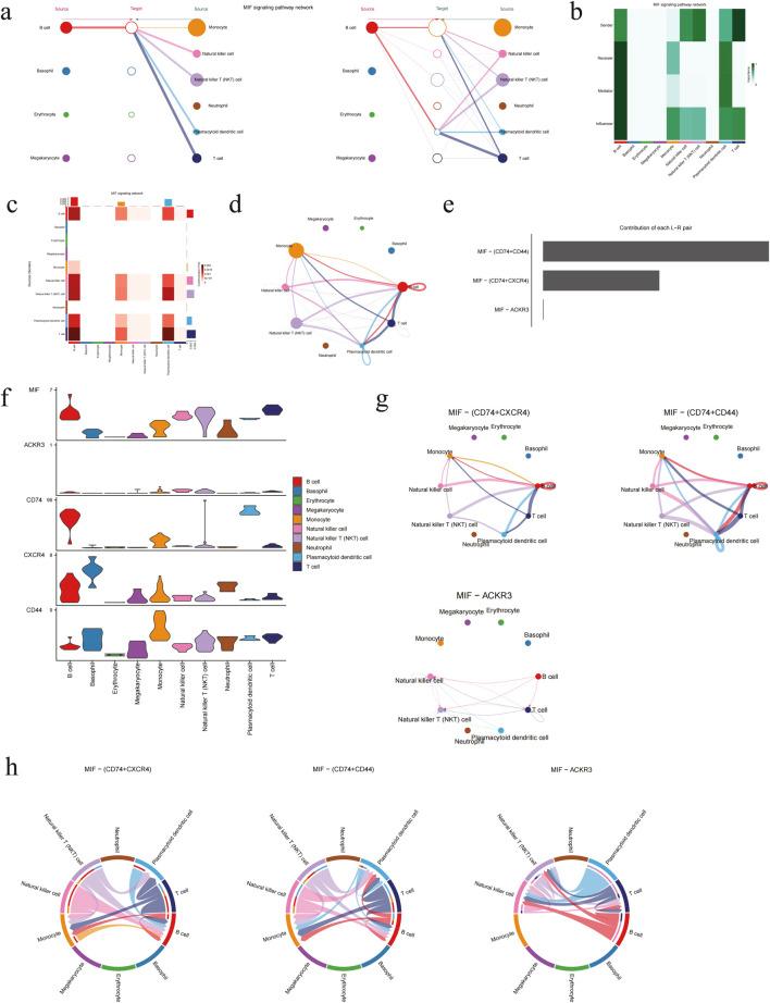 https://cdn.ncbi.nlm.nih.gov/pmc/blobs/2795/12060172/002a65625034/fgene-16-1551879-g008.jpg
