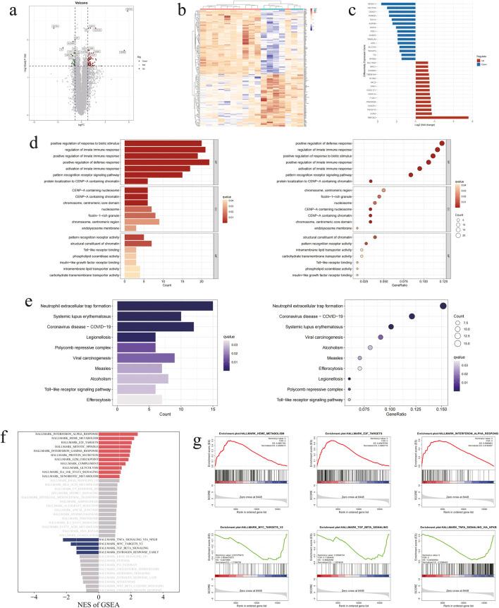 https://cdn.ncbi.nlm.nih.gov/pmc/blobs/2795/12060172/ad43e8872583/fgene-16-1551879-g002.jpg