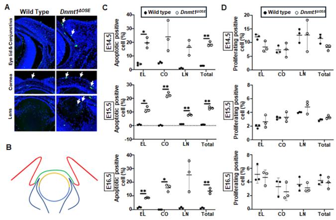 https://cdn.ncbi.nlm.nih.gov/pmc/blobs/2797/12085216/b095c030c839/mv-v31-85-f6.jpg