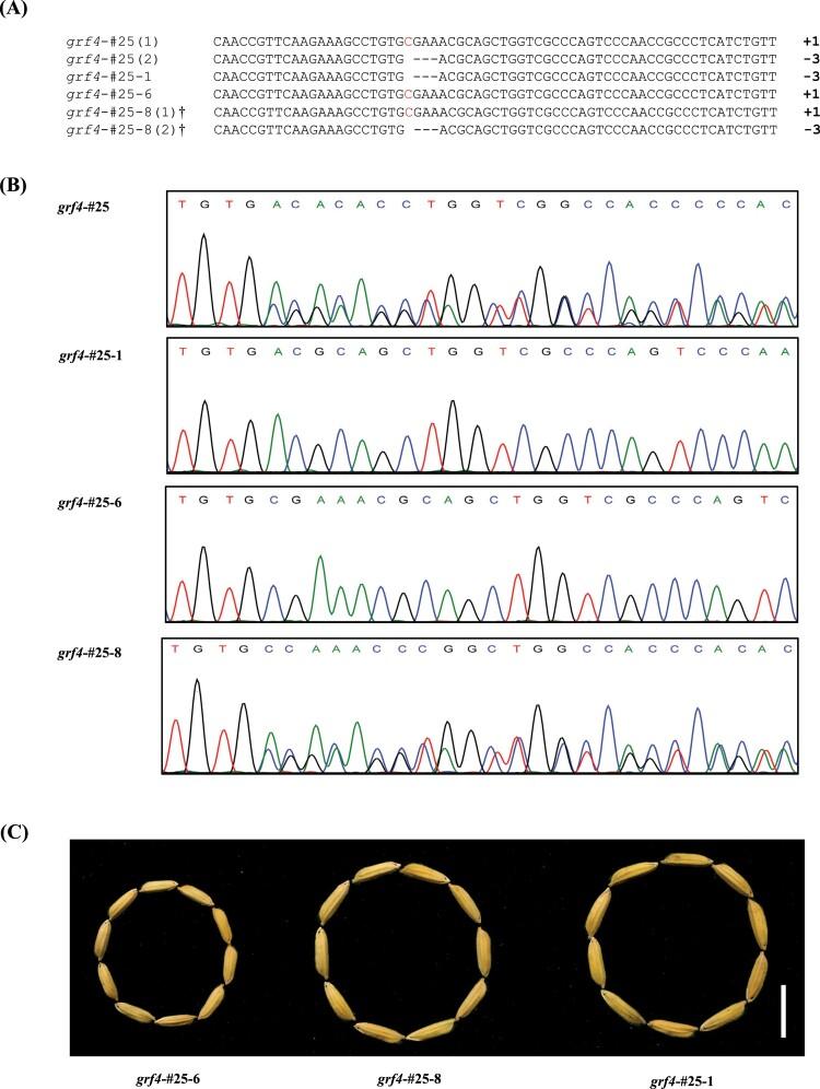 https://cdn.ncbi.nlm.nih.gov/pmc/blobs/2797/8547147/03b976e739b2/erab336f0002.jpg