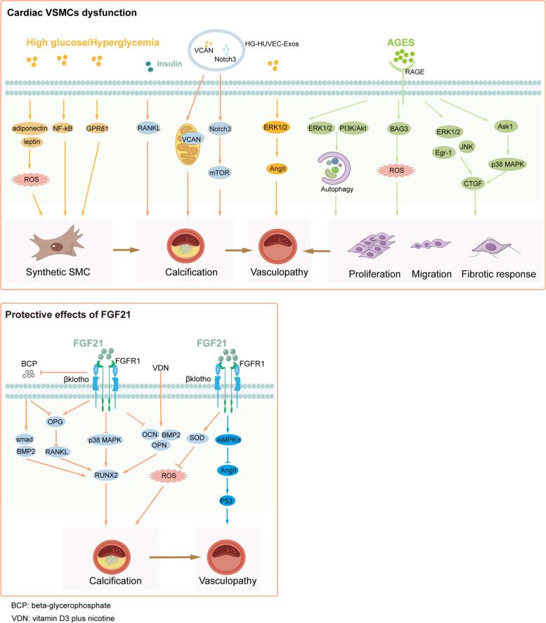 https://cdn.ncbi.nlm.nih.gov/pmc/blobs/2799/11426003/6987817fddea/12964_2024_1842_Fig4_HTML.jpg