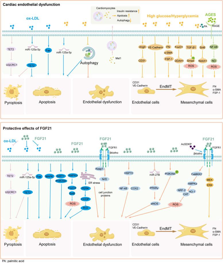 https://cdn.ncbi.nlm.nih.gov/pmc/blobs/2799/11426003/8b3a8d13f0e2/12964_2024_1842_Fig3_HTML.jpg