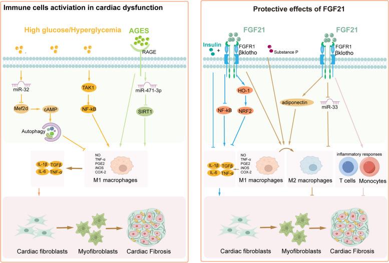 https://cdn.ncbi.nlm.nih.gov/pmc/blobs/2799/11426003/c56e30d7af2a/12964_2024_1842_Fig5_HTML.jpg