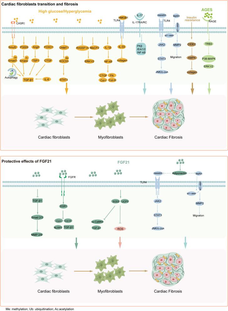 https://cdn.ncbi.nlm.nih.gov/pmc/blobs/2799/11426003/c7e9cecfd841/12964_2024_1842_Fig2_HTML.jpg