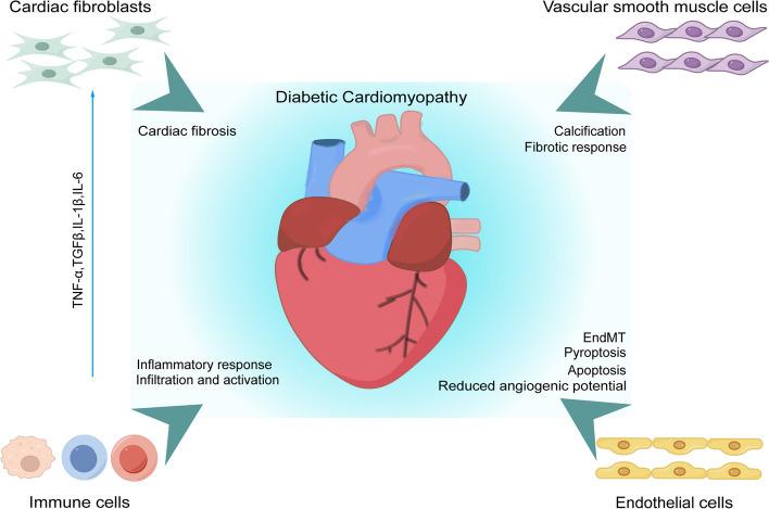 https://cdn.ncbi.nlm.nih.gov/pmc/blobs/2799/11426003/cef28bf2681c/12964_2024_1842_Fig1_HTML.jpg