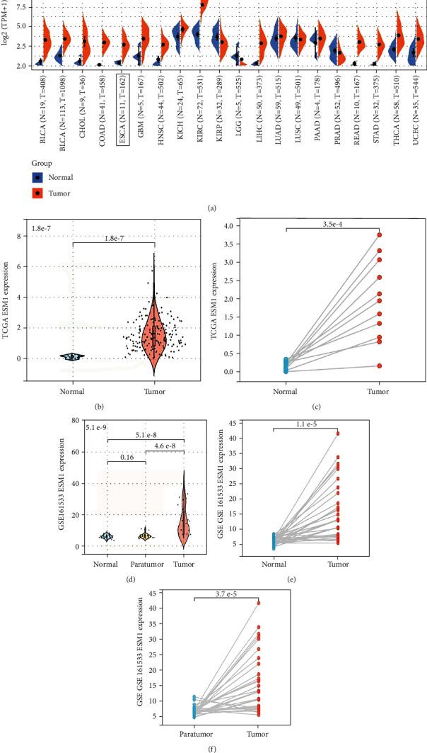 https://cdn.ncbi.nlm.nih.gov/pmc/blobs/2799/9348936/154ff6560e9f/BMRI2022-5328192.001.jpg
