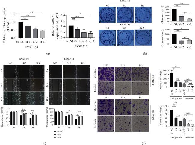 https://cdn.ncbi.nlm.nih.gov/pmc/blobs/2799/9348936/7f6db38179d7/BMRI2022-5328192.007.jpg