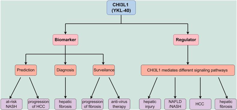 https://cdn.ncbi.nlm.nih.gov/pmc/blobs/279a/12357251/cdb3682936fe/gr3.jpg