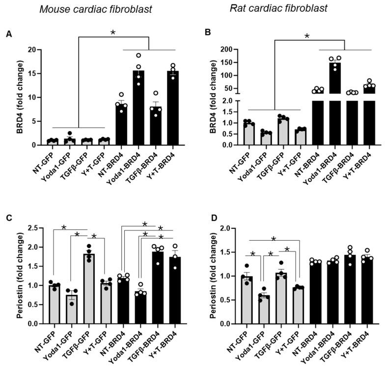 https://cdn.ncbi.nlm.nih.gov/pmc/blobs/279b/12249368/fbdeab6ee4ae/cells-14-01028-g006.jpg
