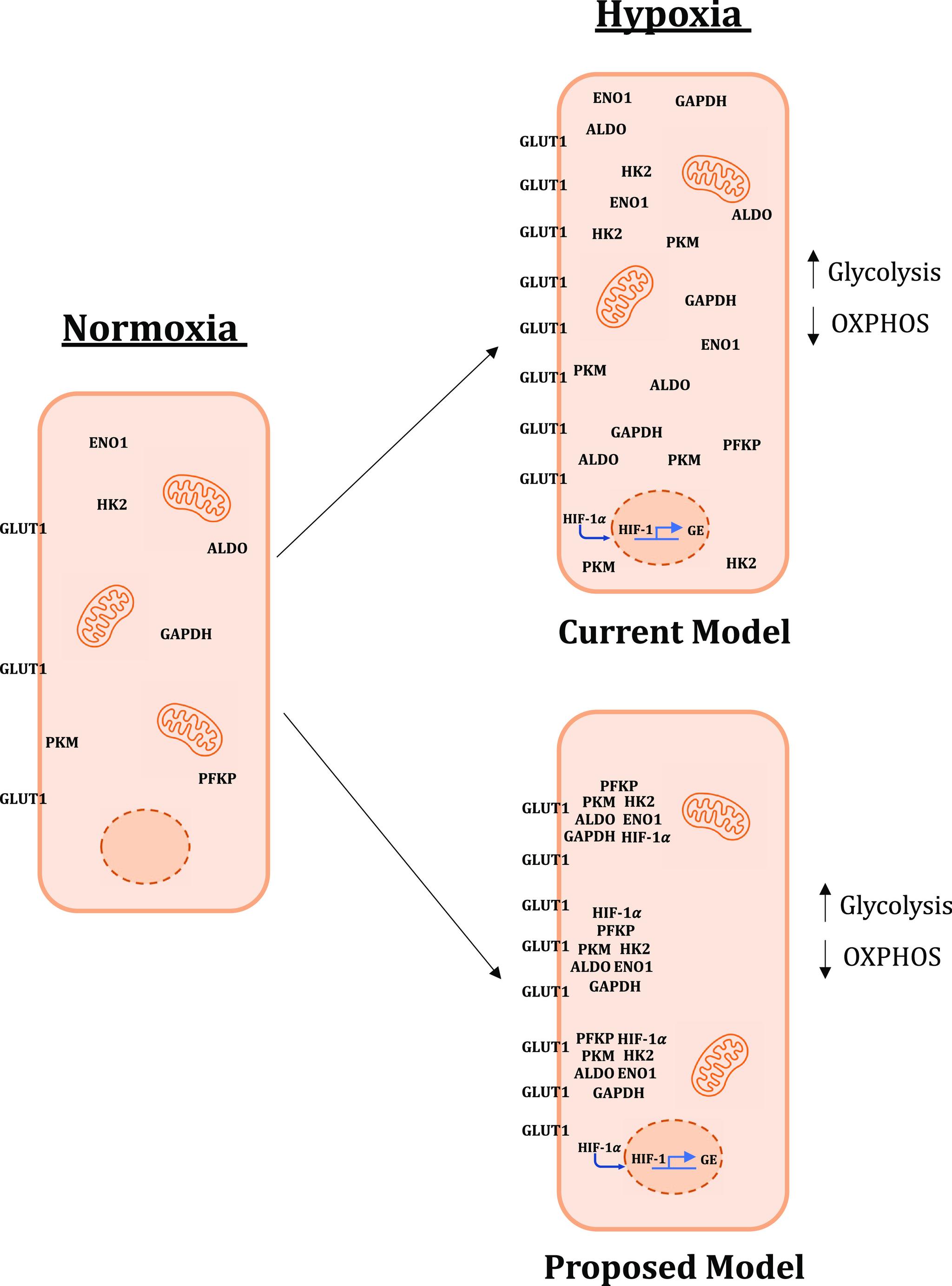 https://cdn.ncbi.nlm.nih.gov/pmc/blobs/279c/10469334/9042e15b6f47/pnas.2208117120fig07.jpg