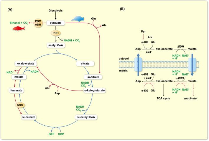 https://cdn.ncbi.nlm.nih.gov/pmc/blobs/279d/9287066/d05e6431dc40/APHA-235-0-g003.jpg