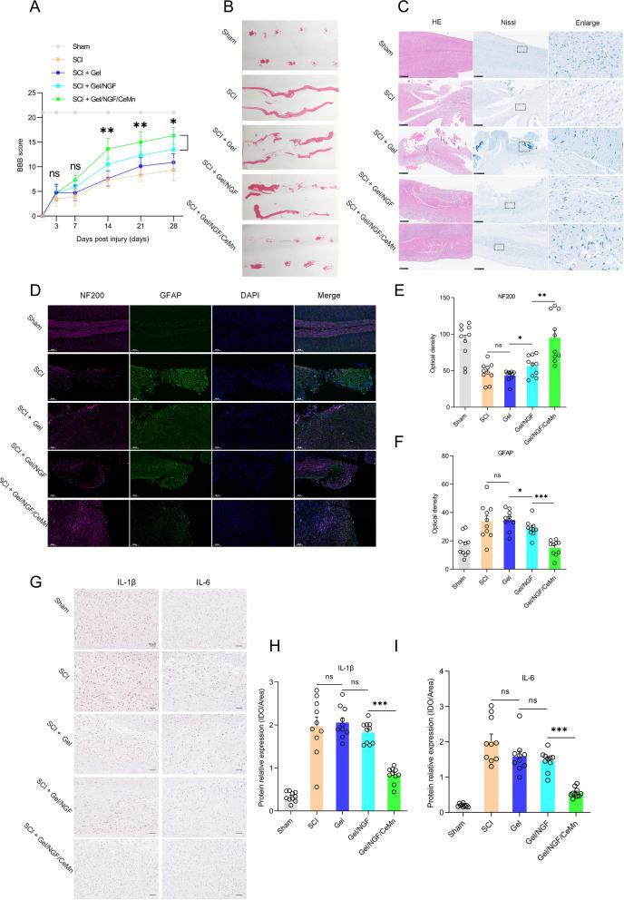 https://cdn.ncbi.nlm.nih.gov/pmc/blobs/279f/11748312/0302ad88352c/12951_2025_3098_Fig8_HTML.jpg