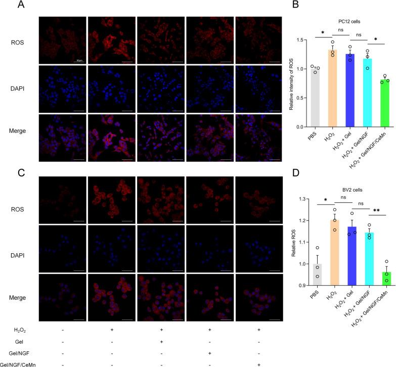 https://cdn.ncbi.nlm.nih.gov/pmc/blobs/279f/11748312/86c1601c82db/12951_2025_3098_Fig6_HTML.jpg