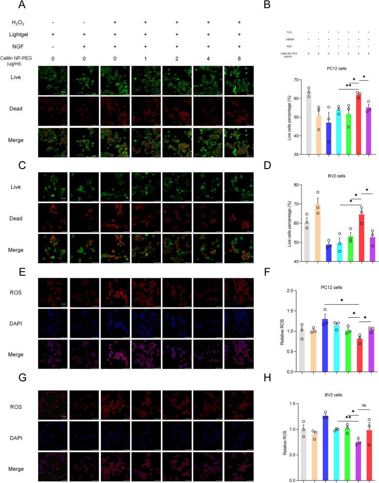 https://cdn.ncbi.nlm.nih.gov/pmc/blobs/279f/11748312/92e8d8a84623/12951_2025_3098_Fig2_HTML.jpg