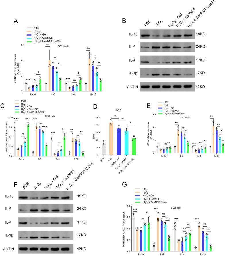 https://cdn.ncbi.nlm.nih.gov/pmc/blobs/279f/11748312/c59797487170/12951_2025_3098_Fig5_HTML.jpg
