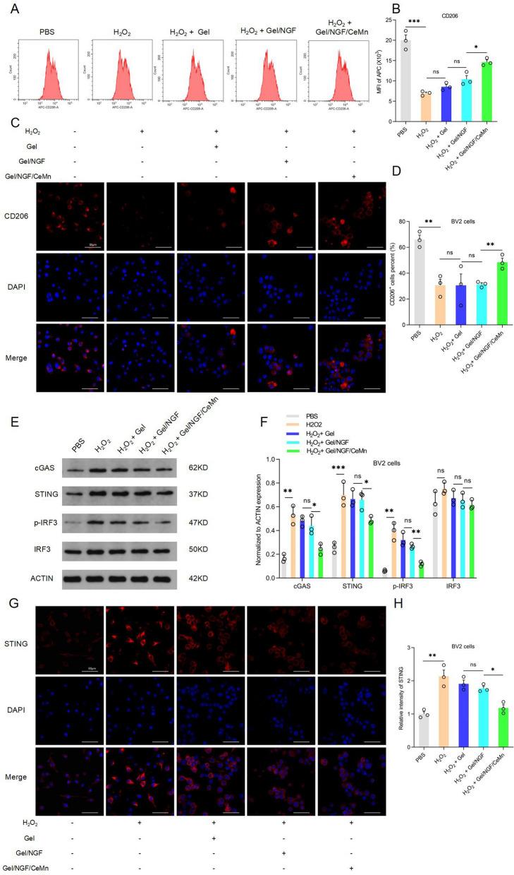 https://cdn.ncbi.nlm.nih.gov/pmc/blobs/279f/11748312/f12ecd306aaa/12951_2025_3098_Fig7_HTML.jpg