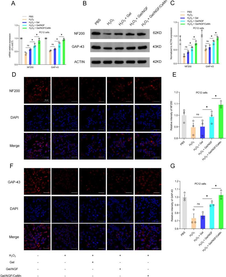 https://cdn.ncbi.nlm.nih.gov/pmc/blobs/279f/11748312/f9d1fe46a14c/12951_2025_3098_Fig4_HTML.jpg