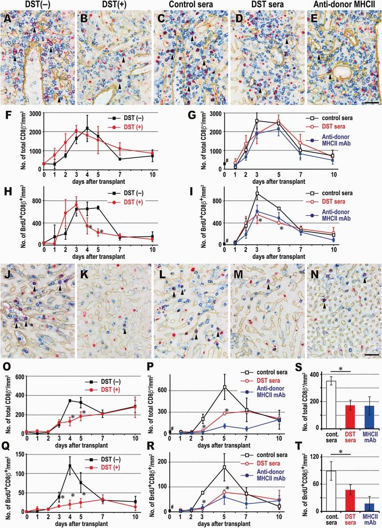 https://cdn.ncbi.nlm.nih.gov/pmc/blobs/27a2/8060989/281440a6fdb6/dxaa076_fig4.jpg