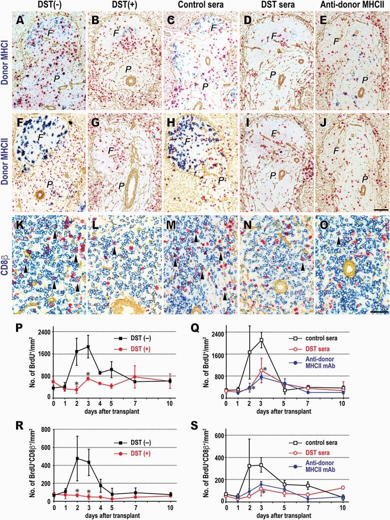 https://cdn.ncbi.nlm.nih.gov/pmc/blobs/27a2/8060989/4cc6efb1c93e/dxaa076_fig2.jpg