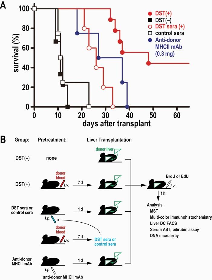 https://cdn.ncbi.nlm.nih.gov/pmc/blobs/27a2/8060989/5380e529aeaf/dxaa076_fig1.jpg